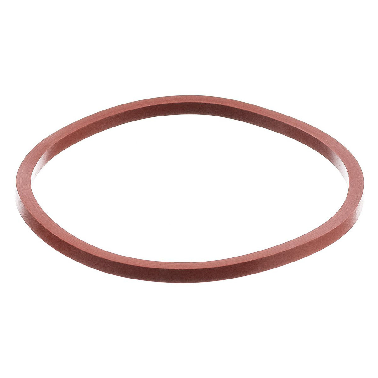 Кольцо уплотнительное для корпуса фильтра Гейзер-1Г мех.