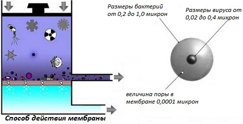 Способ действия мембраны системы обратного осмоса