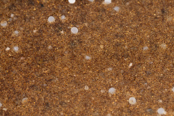 Экотар P, 25л