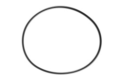 Кольцо уплотнительное для корпусов Гейзер C24 BB прозрачных