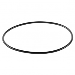 Кольцо уплотнительное для корпусов Гейзер C24 BB прозрачных